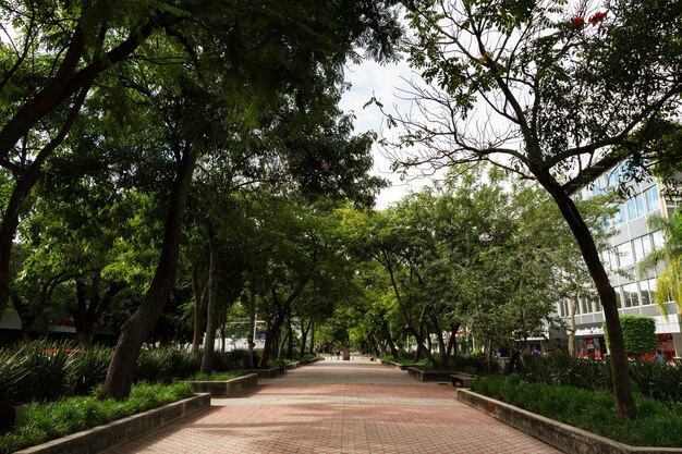 Life in mexico landscape with path