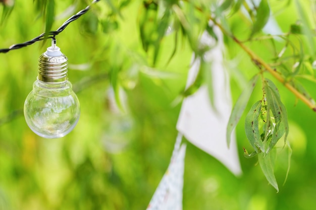 Light bulbs and garland hang on branches