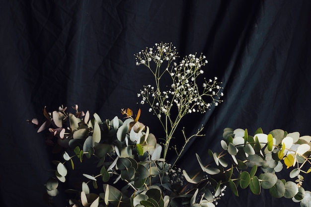 Free photo light fresh flower twigs and plant with green leaves