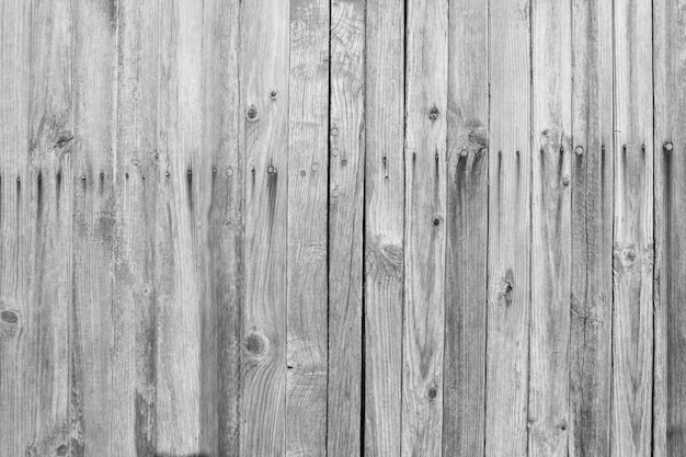 Free photo light gray wooden wall