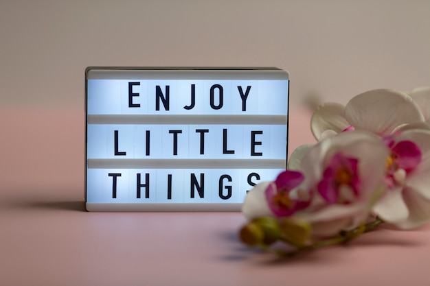 Lightbox still life arrangement