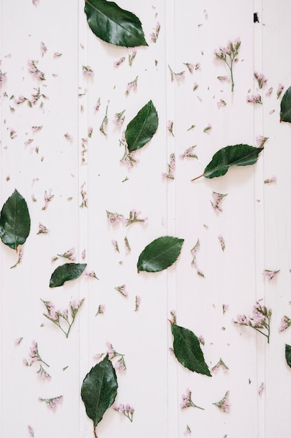 Free Photo lilac flowers and leaves on a white wooden surface