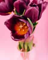 Free photo lilac tulip flower head in the vase on pink background