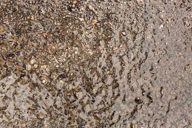 Free Photo liquid on concrete with pebbles