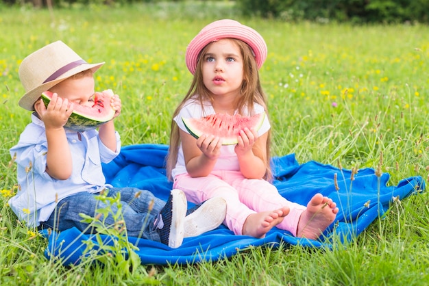 Free Photo little boy and girl sitting on blue blanket over green grass eating watermelon