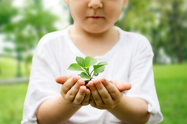 Little boy holding soil and plant in the park

We are proud to s