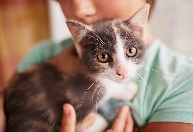 Little boy holds black and white kitty on his shoulder 