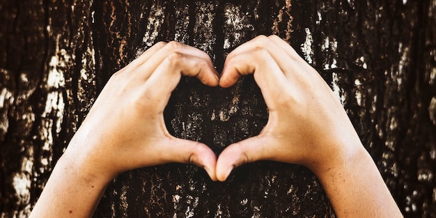 Free Photo little boy making a heart shape on a tree