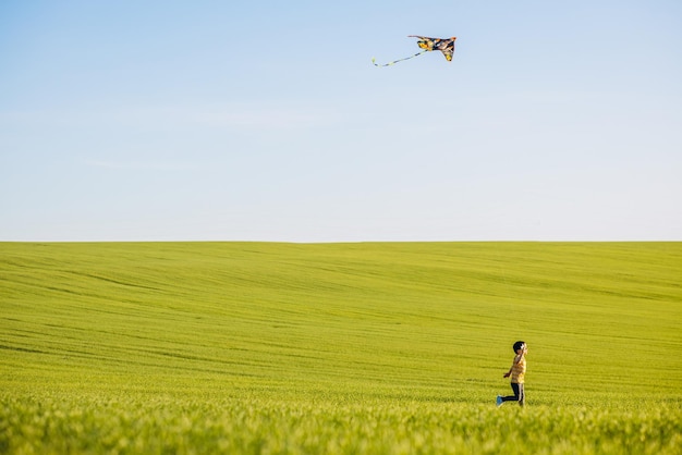 Little boy playing with kite at a green meadow