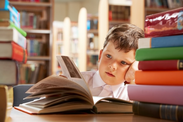 Little boy studying in the library