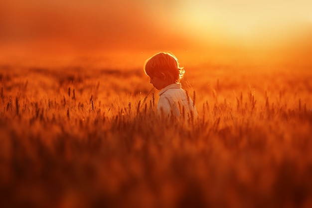 Little boy walks in the field full of golden wheat