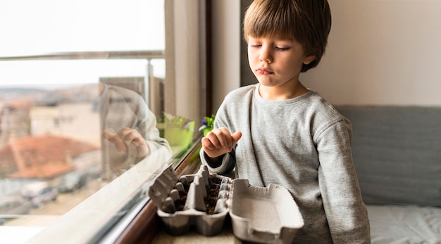 Free photo little boy with planted seeds in egg carton