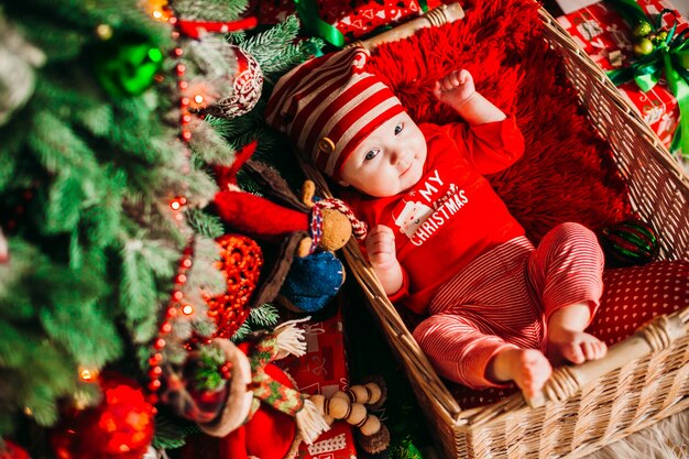 Little child plays lying in the basket under green Christmas tree 