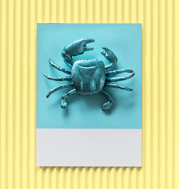 Free Photo little cute crab on a paper