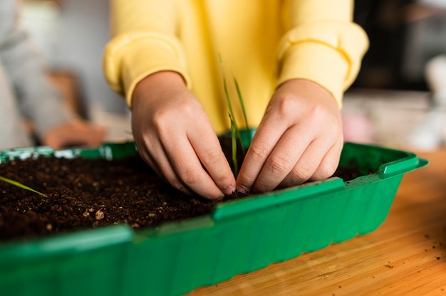 Little girl planting sprouts at home