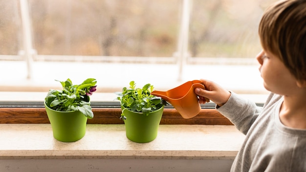 Little kid watering plants by the window