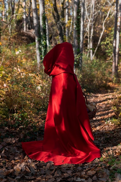 Free photo little red riding hood with wooden basket with goodies