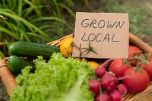 Free photo local grown vegetables in basket