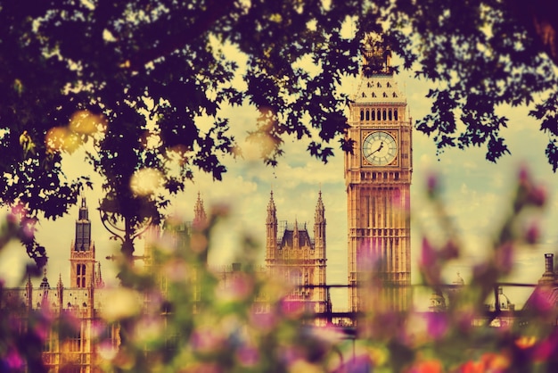 Free photo london view through a tree