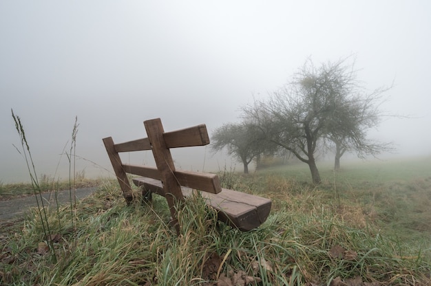 Free photo lonely bench in foggy weather