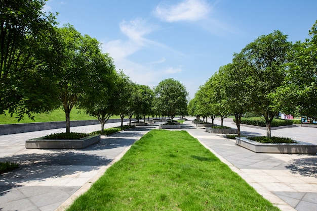 long empty footpath in modern city square with skyline