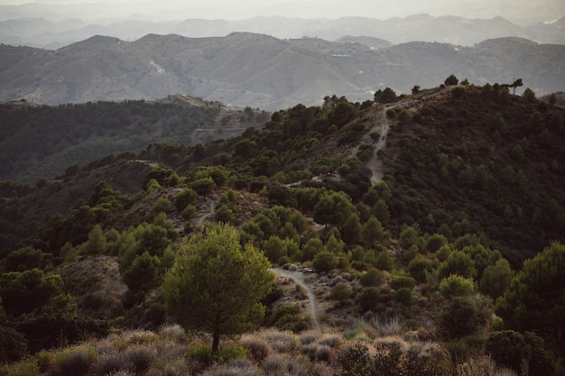 Free photo long exposure shot of an amazing natural landscape