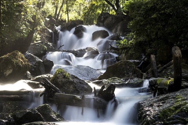 Free photo long exposure shot of the waterfall surrounded by trees