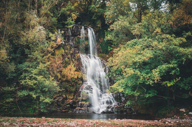 Long exposure of a waterfall  in a colorful forest