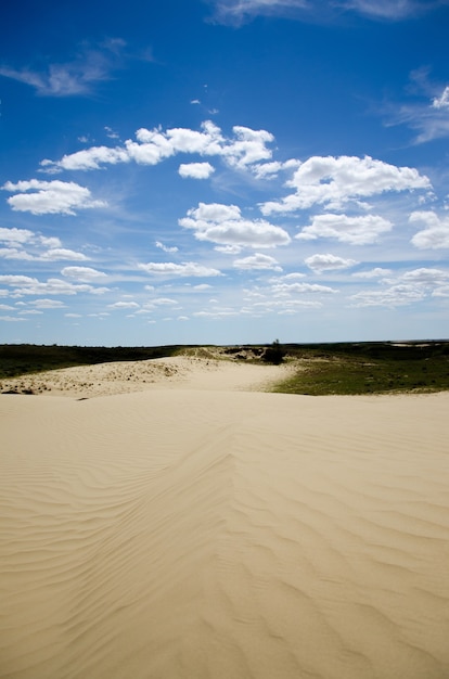 Free Photo long sandy pathway gleaming under the cloudy blue sky