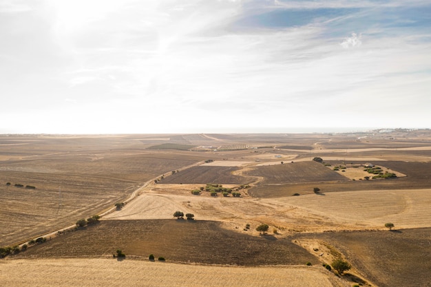 Long shot of beautiful fields and crops taken by drone