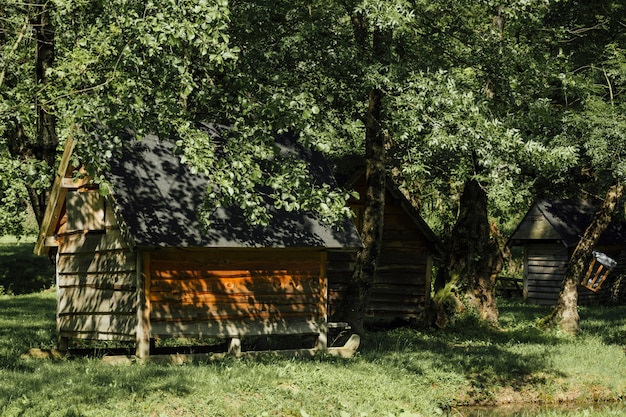 Free photo long shot of farm sheds under trees