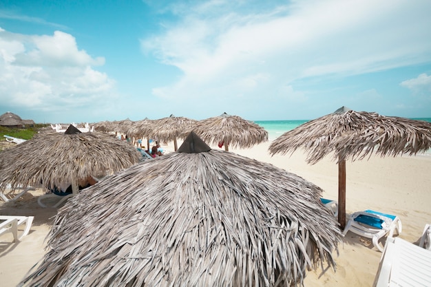 Long shot palm umbrella at resort beach