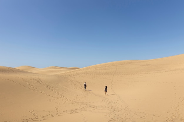 Free Photo long shot people walking in desert