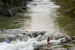 Free photo long shot woman standing on rock by the river