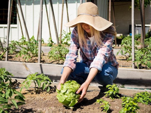 Free Photo long shot woman taking a green cabbage from the ground