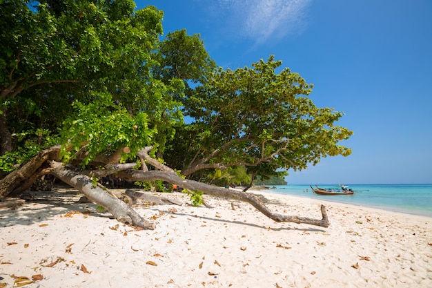 Long tail boat on tropical beach, Krabi, Thailand