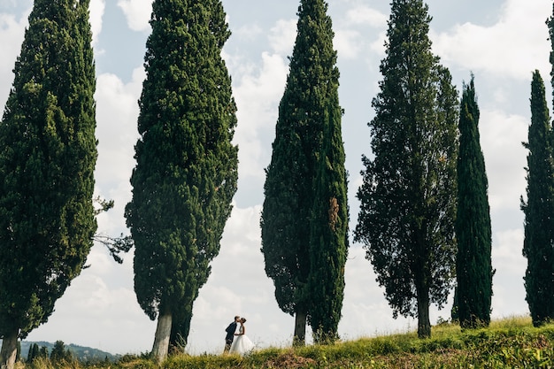 Look from afar at lovely wedding couple kissing between tall Ita