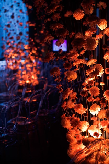 Look from behind the buds of chrysanthemums on the threads at plastic chairs