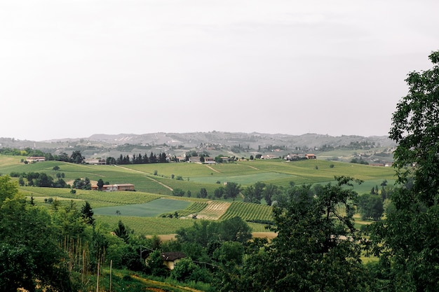 Free photo look from the high trees at a beautiful landscape of green trees