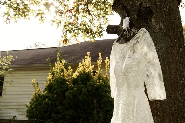 Look from below at luxurious wedding dress hanging on tree 