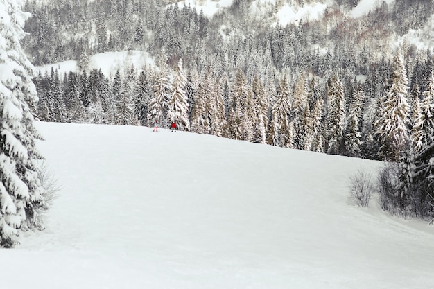 Look from above at people in ski suits standing on snowed hill in mountain forest 