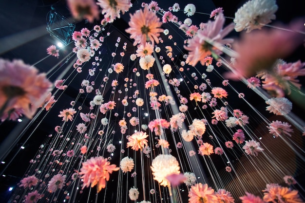 Look from below at pink chrysanthemums hanging from the black ceiling