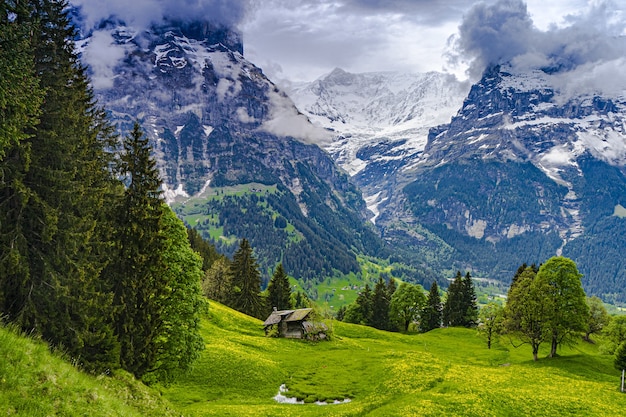 Looking across the valley to the towering mountains