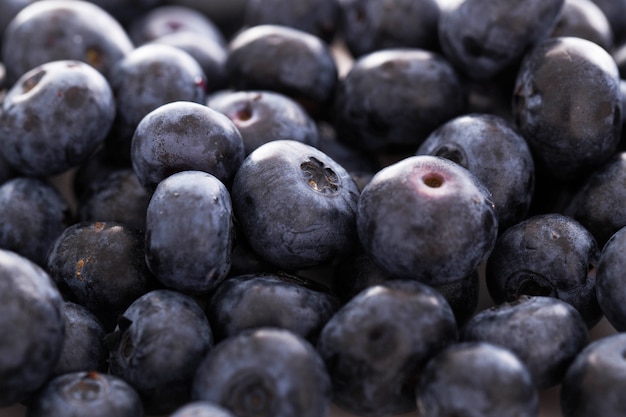 Free photo lots of blueberries