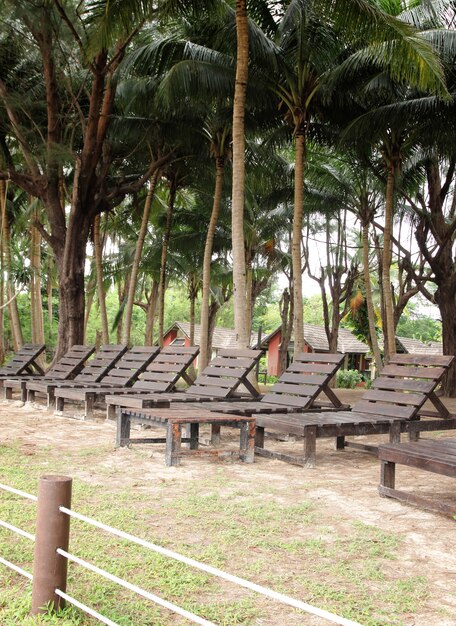 Lounge chair  in the garden at resort