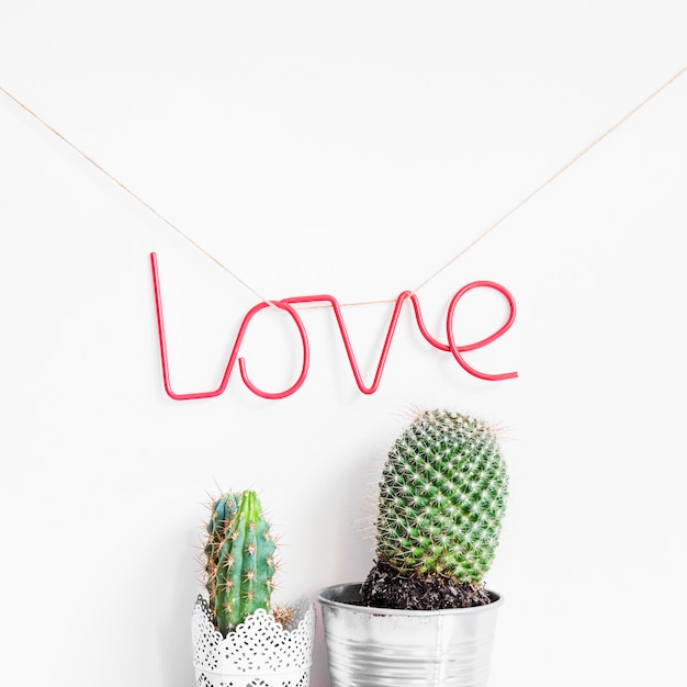 Free Photo love concept with cactus