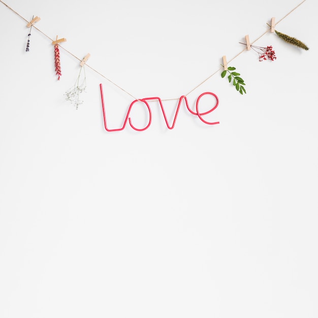 Love concept with clothes line and leaves