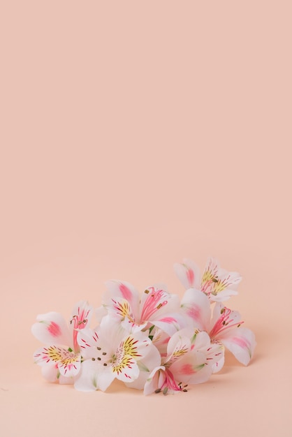 Lovely flowers concept with elegant style