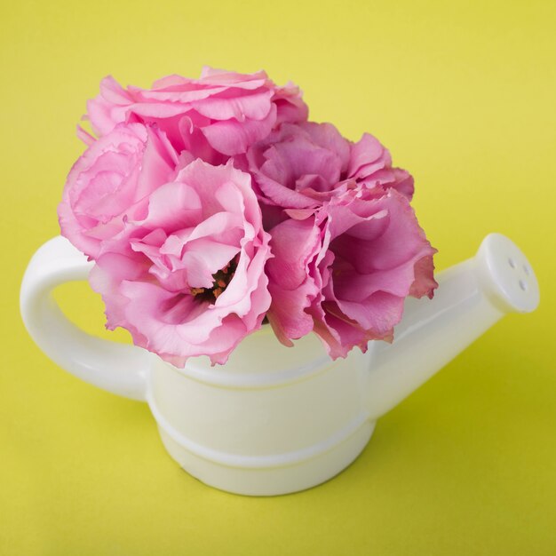 Lovely flowers concept with watering pot