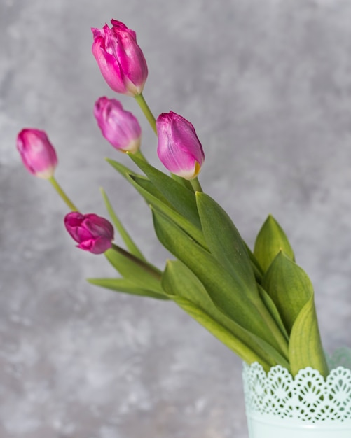 Free photo lovely natural tulips close up